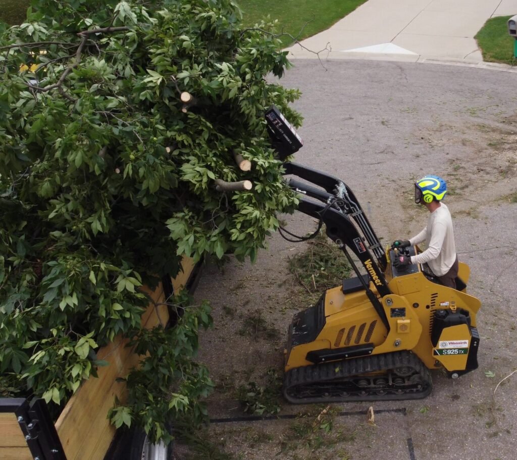 skid steer, loading brush, grand rapids