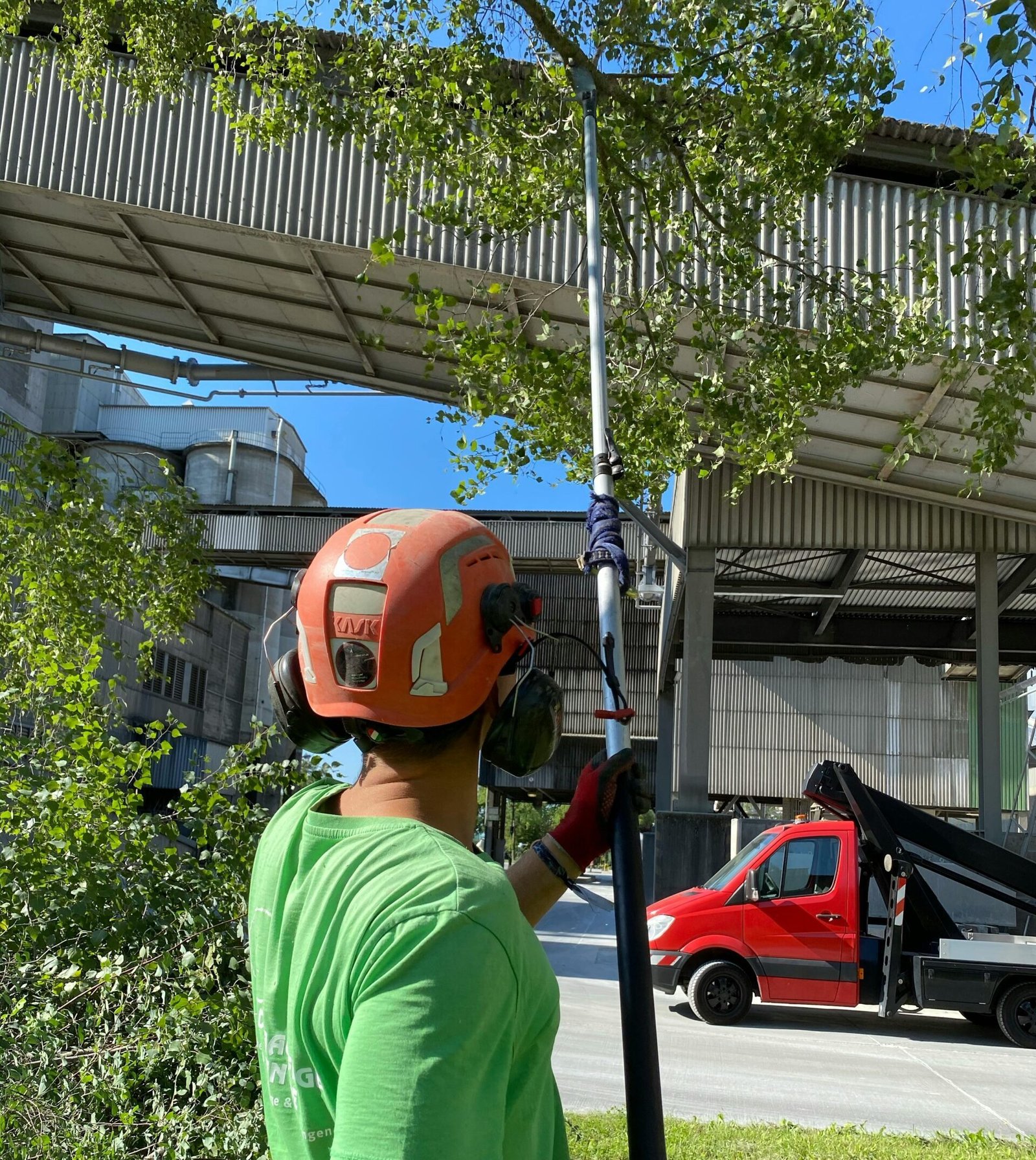Worker using pole saw for tree trimming tasks outdoors under clear blue sky.