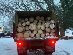 Debris Removal