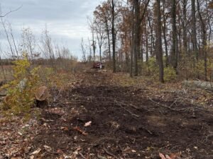Lot Clearing