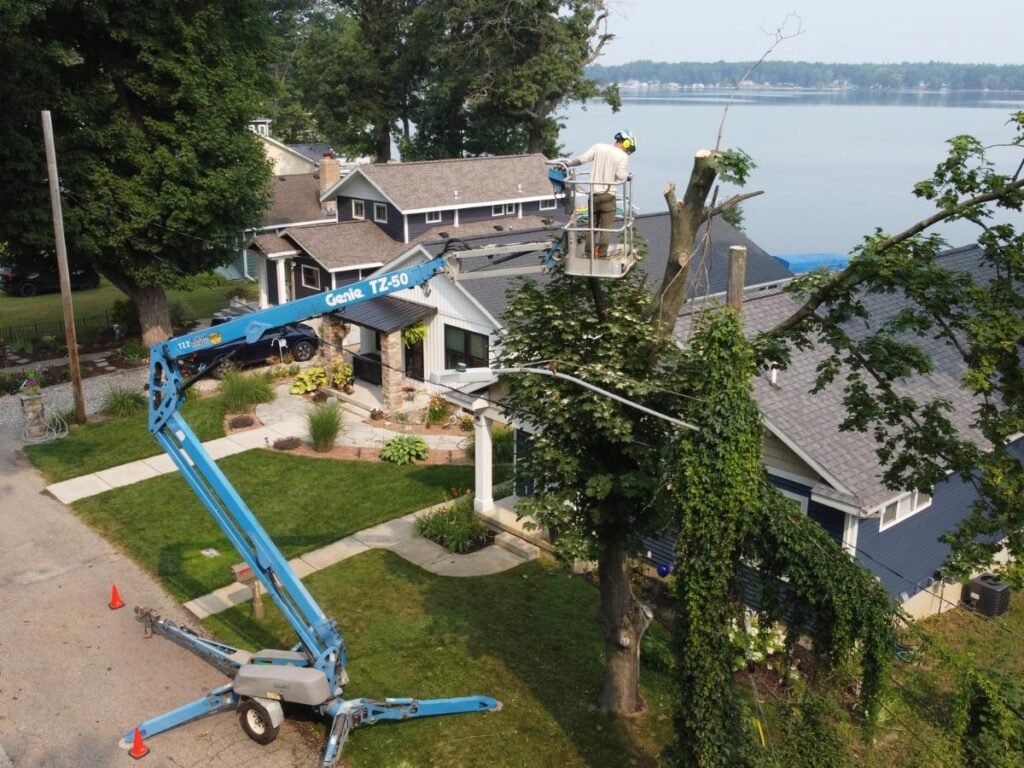 Tree service in Walker