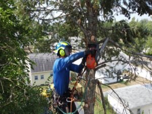 westrootsclimbing12121