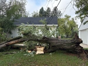 westrootsstorm12121